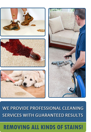 Expert Carpet Stain Removal